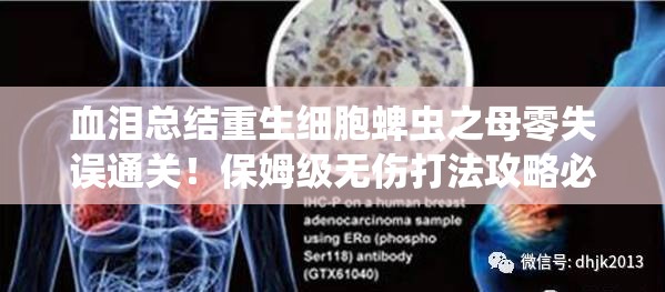 血淚總結重生細胞蜱蟲之母零失誤通關！保姆級無傷打法攻略必存